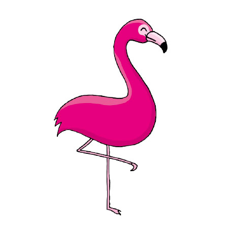 illustration_flamingo_regensburg_aromalove_1
