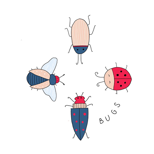 grafik-illustration-UI-regensburg-magda-spyra-bugs